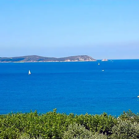 Vida Playa Paxarinas